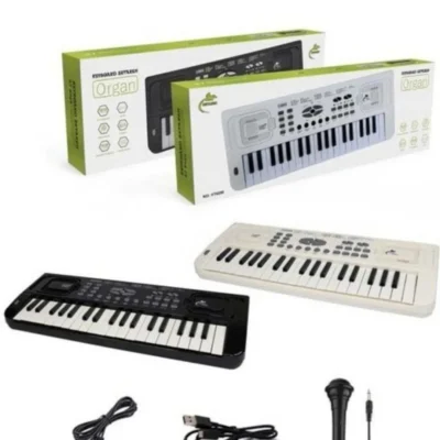 ارگ ۳۷ کلید کودکانه