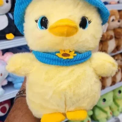 جوجه کلاه دار آبی