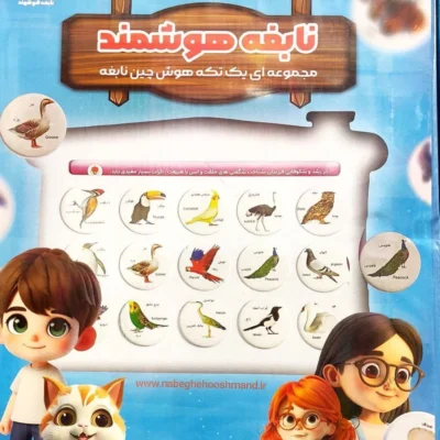 هوش چین مجموعه ای یک تکیه