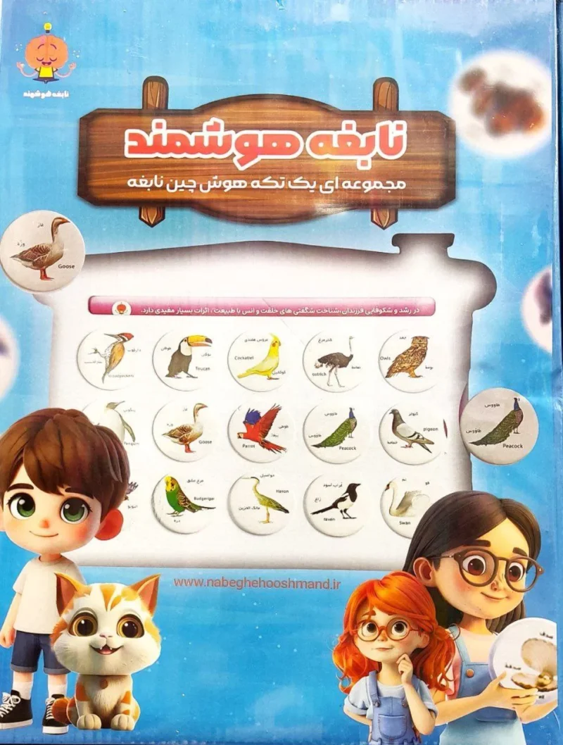 هوش چین مجموعه ای یک تکیه هوش چین مجموعه ای یک تکیه